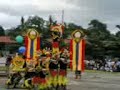 LGU-WMSU DUMINGAG