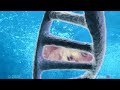 Gene Doping: Super Athletes in 2008 Beijing Olympics