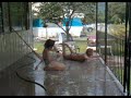 Daughter and Neice having fun while I was cleaning my mom's front porch