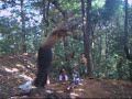 Rapha le parkour 2 pk zero bh