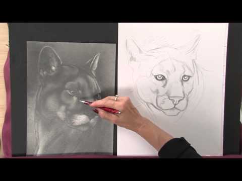 video-linktoworks-Preview | Art Lessons with Lee Hammond: Draw Animals...