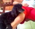 BOB E MIL� "VALEU MANOWW" RSRS DE MAIS!