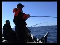Experience sea fishing in northern Norway