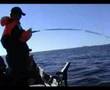 Experience sea fishing in northern Norway