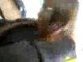 me aqain