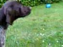 mouahaha :d (l')