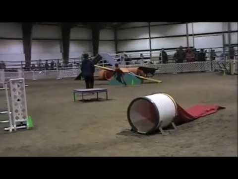 Des Moines AKC Agility trial