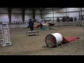 Des Moines AKC Agility trial