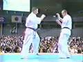 Kyokushin Fight pichkunov