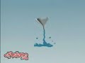 AGUA AGUA
