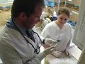 Media Denture Demonstration