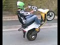 pollis stunt