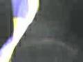 videos de porky hijo de puta