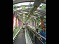Ver Video