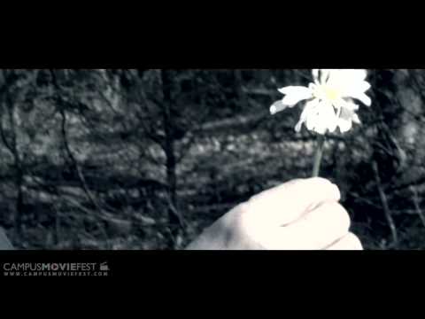 Multiverse  Part I The Endless Wake