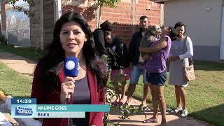 Perigo à solta no Vargem Limpa em Bauru: pitbulls ameaçam moradores e animais