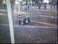 Gol de Kimey