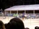 monty roberts hasselt