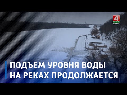 Выход воды на пойму рек зафиксирован в отдельных районах Гомельщины видео