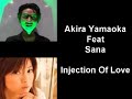 Akira Yamaoka Feat Sana - Injection Of Love