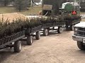 Bareroot potting System