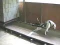 APA 4-28-07