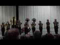 videos de 2008 DCA Minicorps