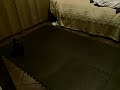 Legend push up