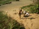 Sand Bank Role (Biology Trip) Sand Bank Role (Biology Trip)
