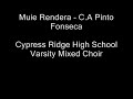 Click here to watch this video Muie Rendera - Fonseca
