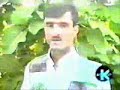 aladin hassan-nazile aladin hassan-nazile