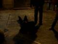 videos de MdL 281108.AVI