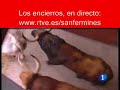 El tercer encierro de San Fermín 2009
