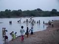 Proyecto India 2008. Los chicos en el rio