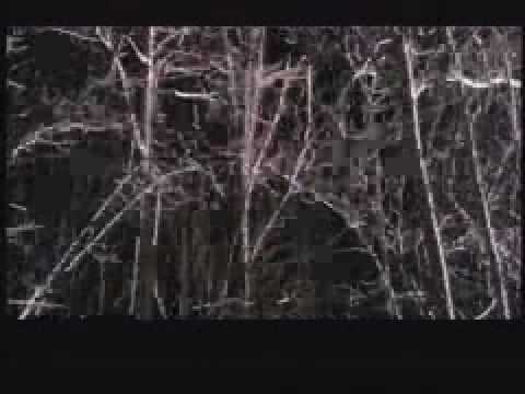 Wendigo Trailer (2001)