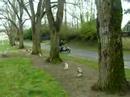 arno avec mon scoote