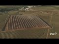 Espagne : champ de panneaux solaires