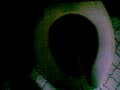 plagios-1-rola.html