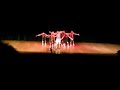 yi zhi du xiu remix