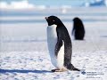 An Inconvenient Truth - I Need To Wake Up An Inconvenient Truth - I Need To Wake Up