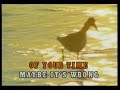 KARAOKE - Neocolours - Maybe KARAOKE - Neocolours - Maybe