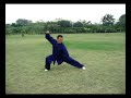 ???? ???? Taiji Chen style synthesis