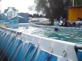 videos de MOV00075
