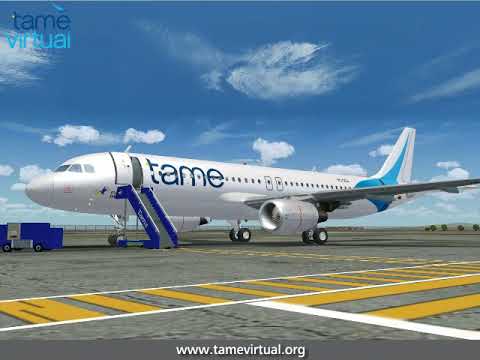 Tame Virtual 4 años!