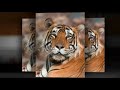 Delhi Travel Agent - India Tour Packages