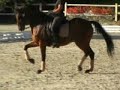 CDI pompadour