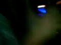 let 3 Droga me je zela a on popi to BUDALO JEDNA let 3 Droga me je zela a on popi to BUDALO JEDNA