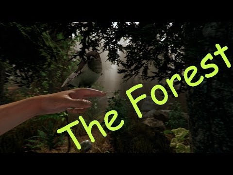 Как сделать в the forest бесконечные ресурсы Как сделать в the forest бесконечные ресурсы