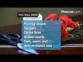 How To Dry Flowers