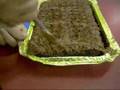 SPOONFULS Episode I: Let Them Eat Cake